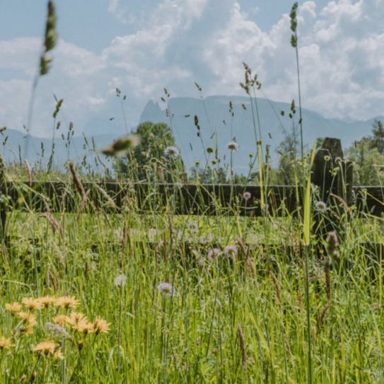 ©TVRitten Franziska Unterholzner