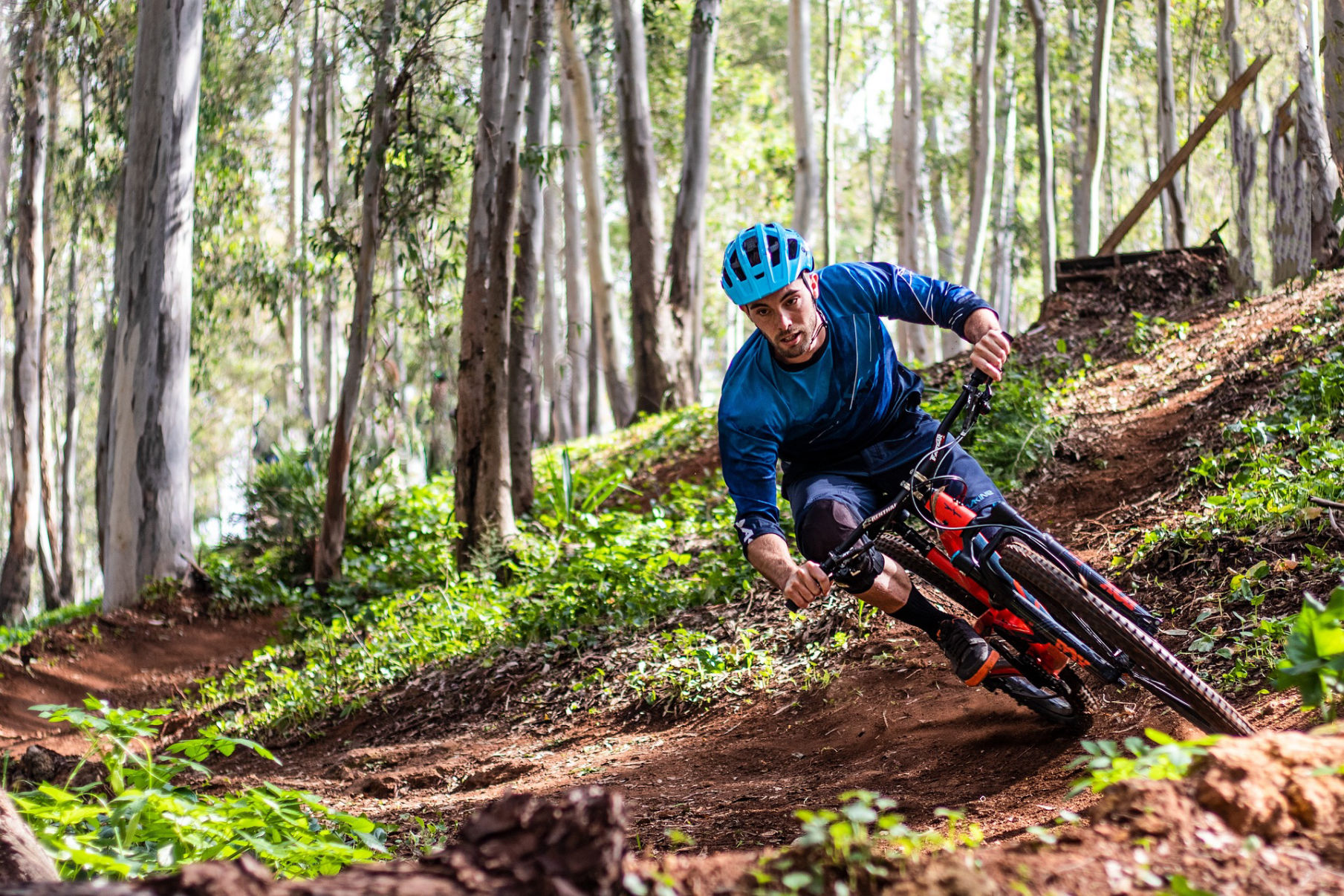 Mountain Bike Ferienwohnungen Waldegg Apartments Ritten